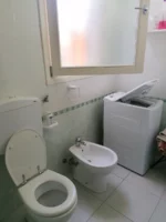 TASMANIA -VILLETTA QUADRILOCALE CON GIARDINO - immagine 10