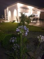 Lido Estensi - HOUSE BOAT - (ALLOGGIO IN BARCA) - immagine 39