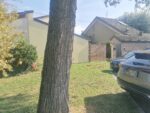 FRANCOLINO FE - VILLETTA A SCHIERA - RIF F1 - immagine 23